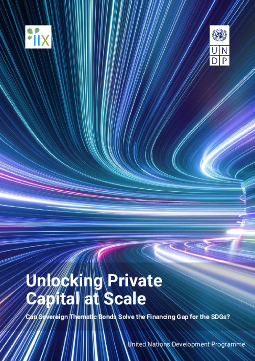 SP本②A Deep Dive into Financial Landscape Unlocking Private Capital at Scale | Sustainable finance hub